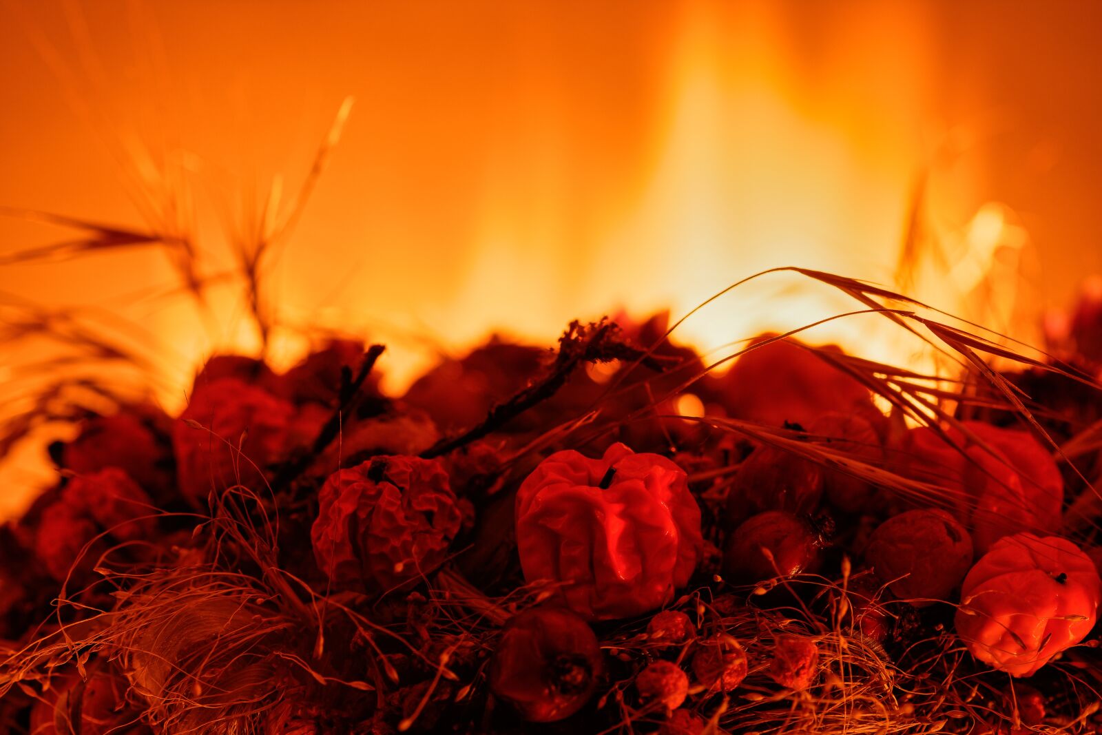 Nikon D7200 sample photo. Fire, flame, pumpkin photography
