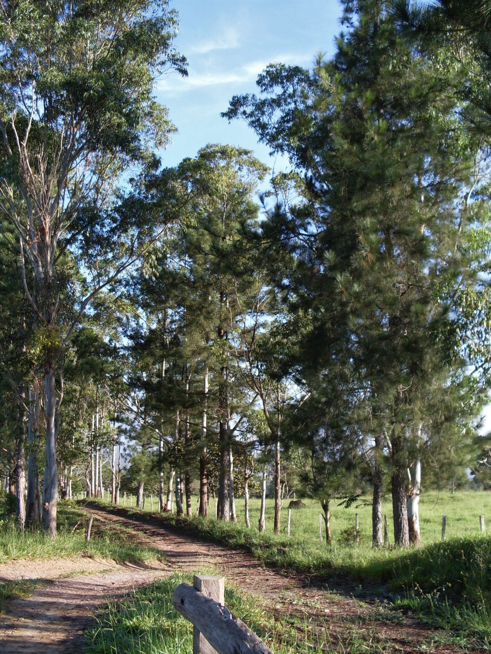 Samsung KENOX S760  / Samsung S760 sample photo. Landscape, country road, nature photography