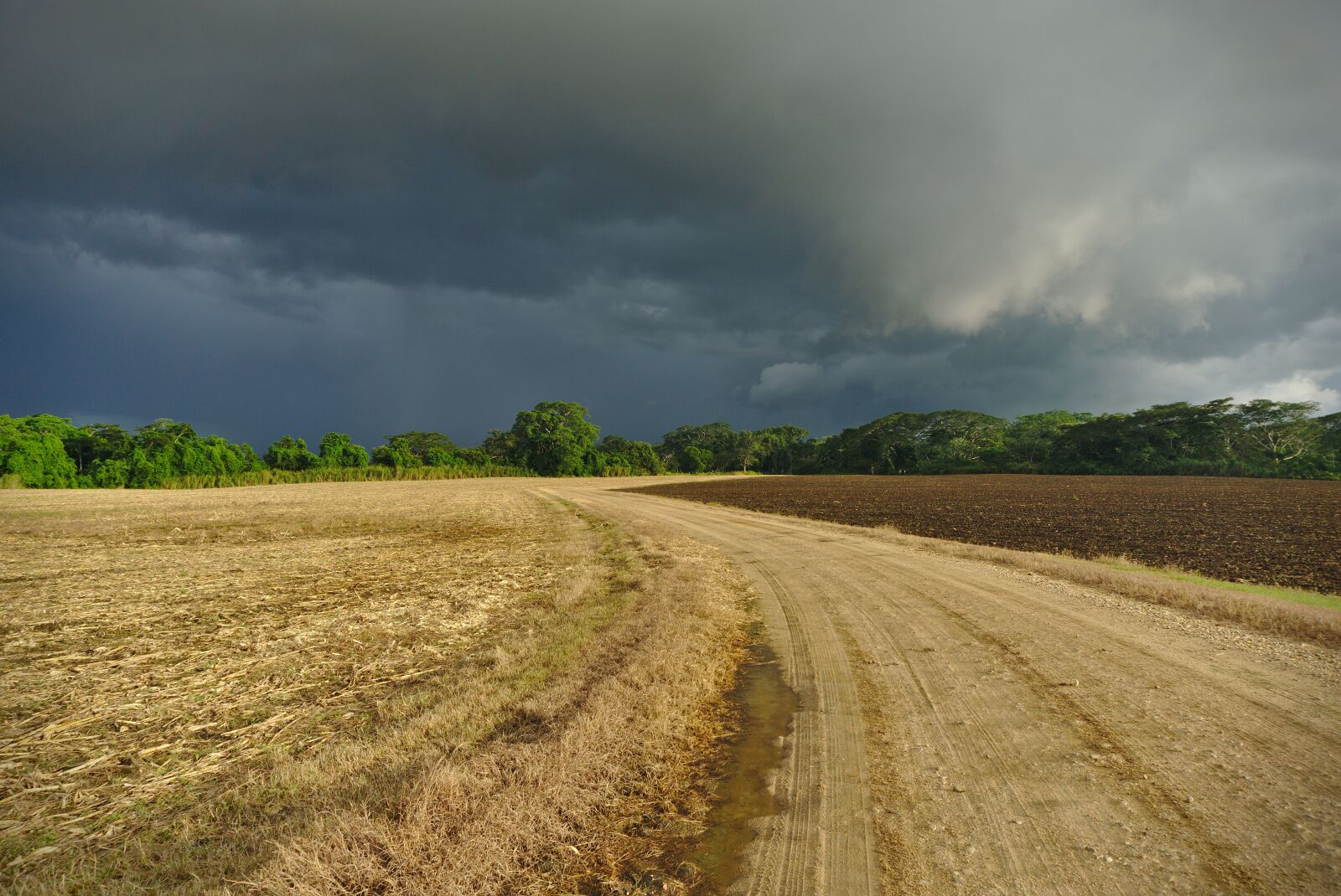 Sony E 16-50mm F3.5-5.6 PZ OSS sample photo. Field, road, rural photography