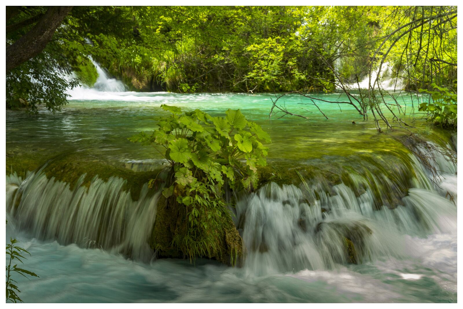 Canon EF-S 15-85mm F3.5-5.6 IS USM sample photo. Croatia, plitvickie lakes, the photography