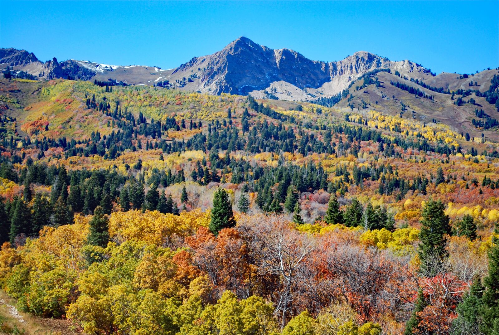 Nikon D60 sample photo. Autumn, mountain, landscape photography