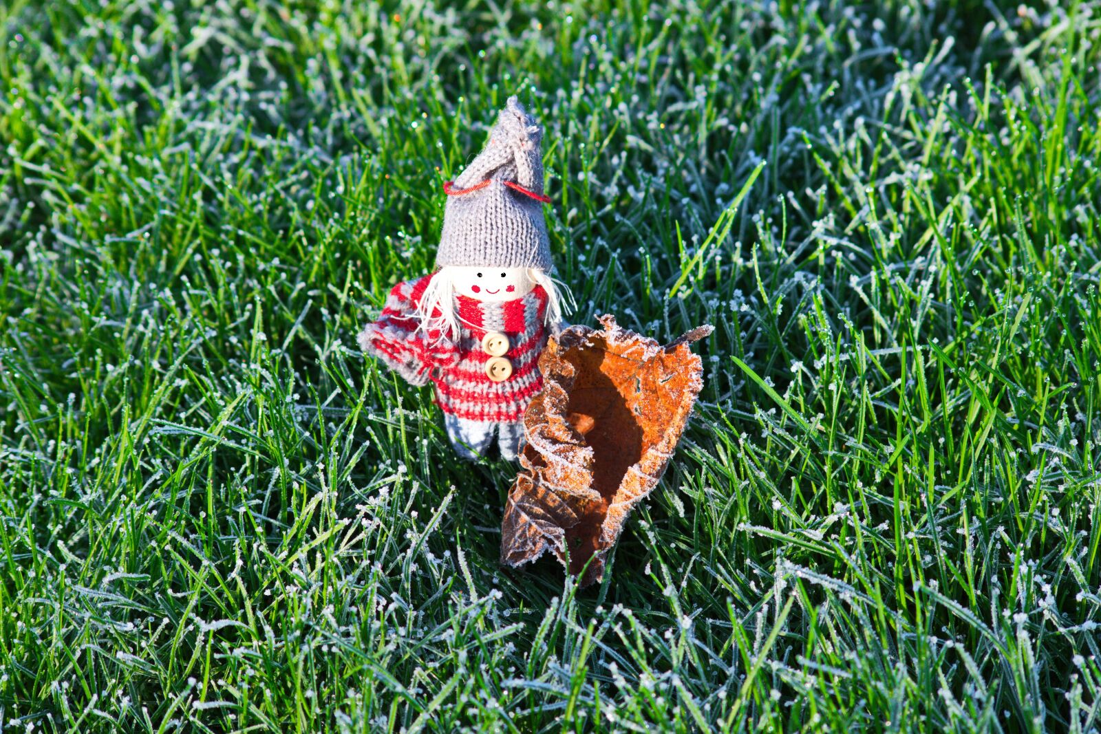 Nikon D3300 sample photo. Iced grass, doll, ice photography