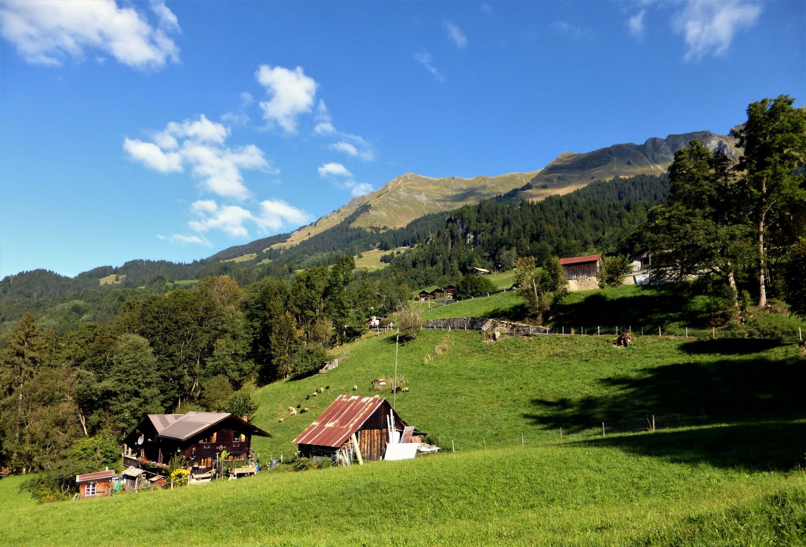 Panasonic Lumix DMC-ZS25 (Lumix DMC-TZ35) sample photo. Nature, france, alps photography