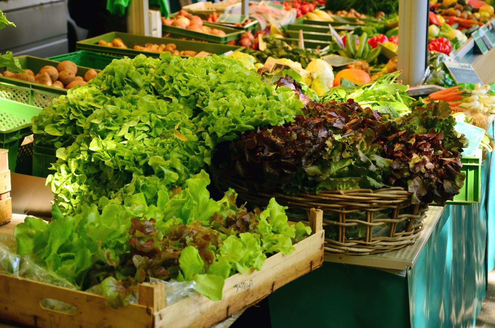 Nikon D5100 sample photo. Salad, vegetable, box, market photography