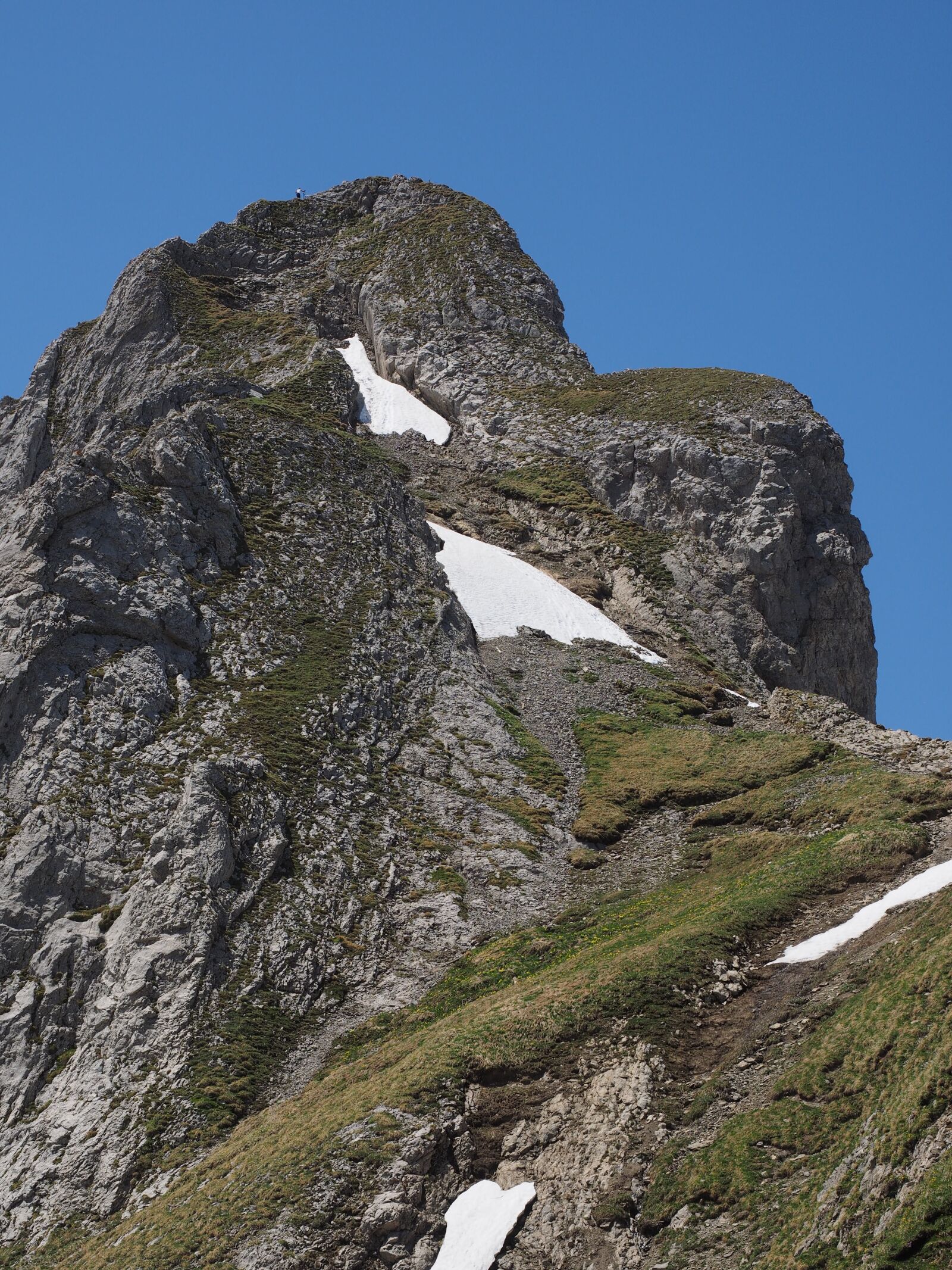 Olympus OM-D E-M1 + Olympus M.Zuiko Digital ED 12-40mm F2.8 Pro sample photo. Lenses ridge, ridge, tightrope photography