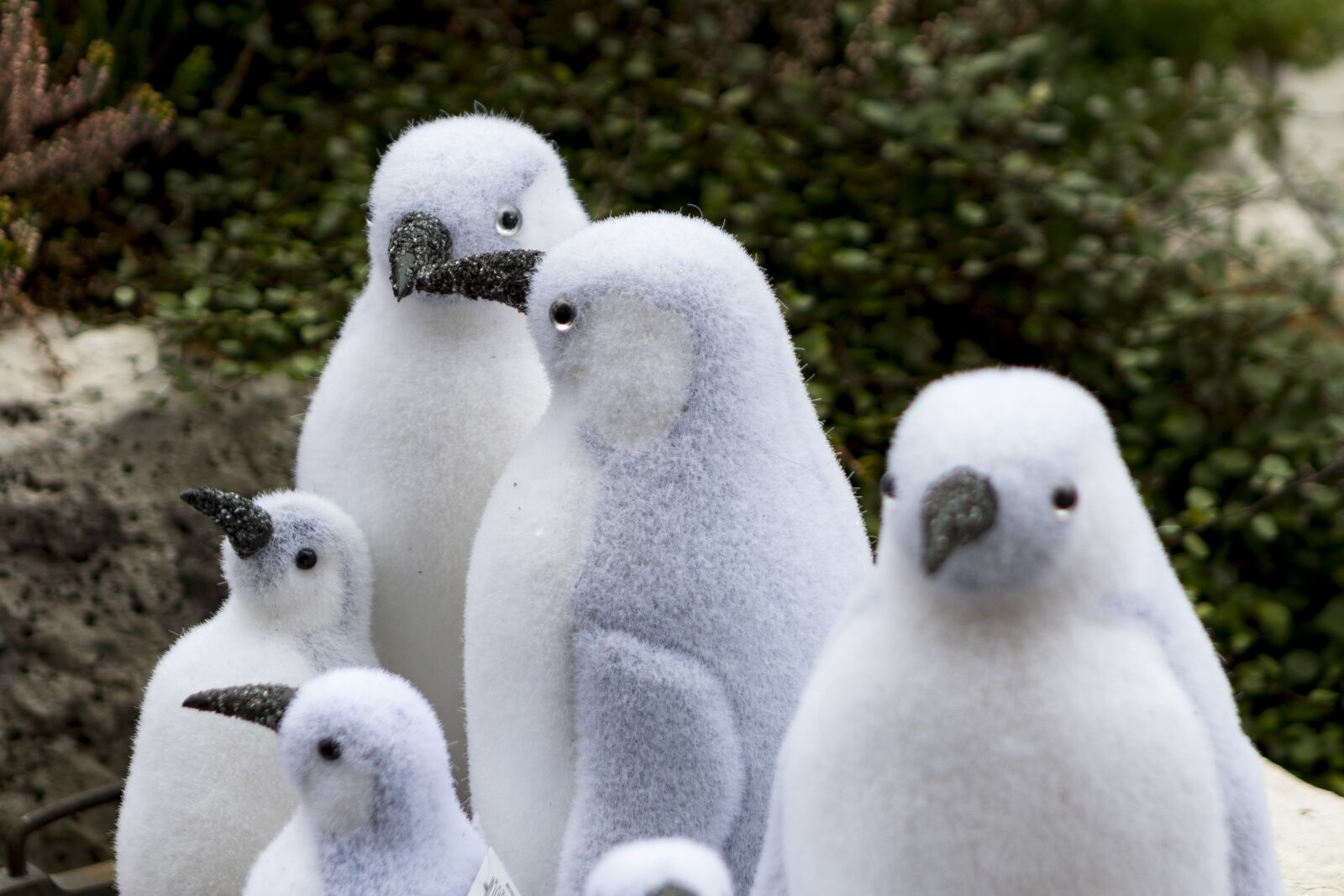 Canon EOS M50 (EOS Kiss M) sample photo. Penguin, plush toys, penguins photography