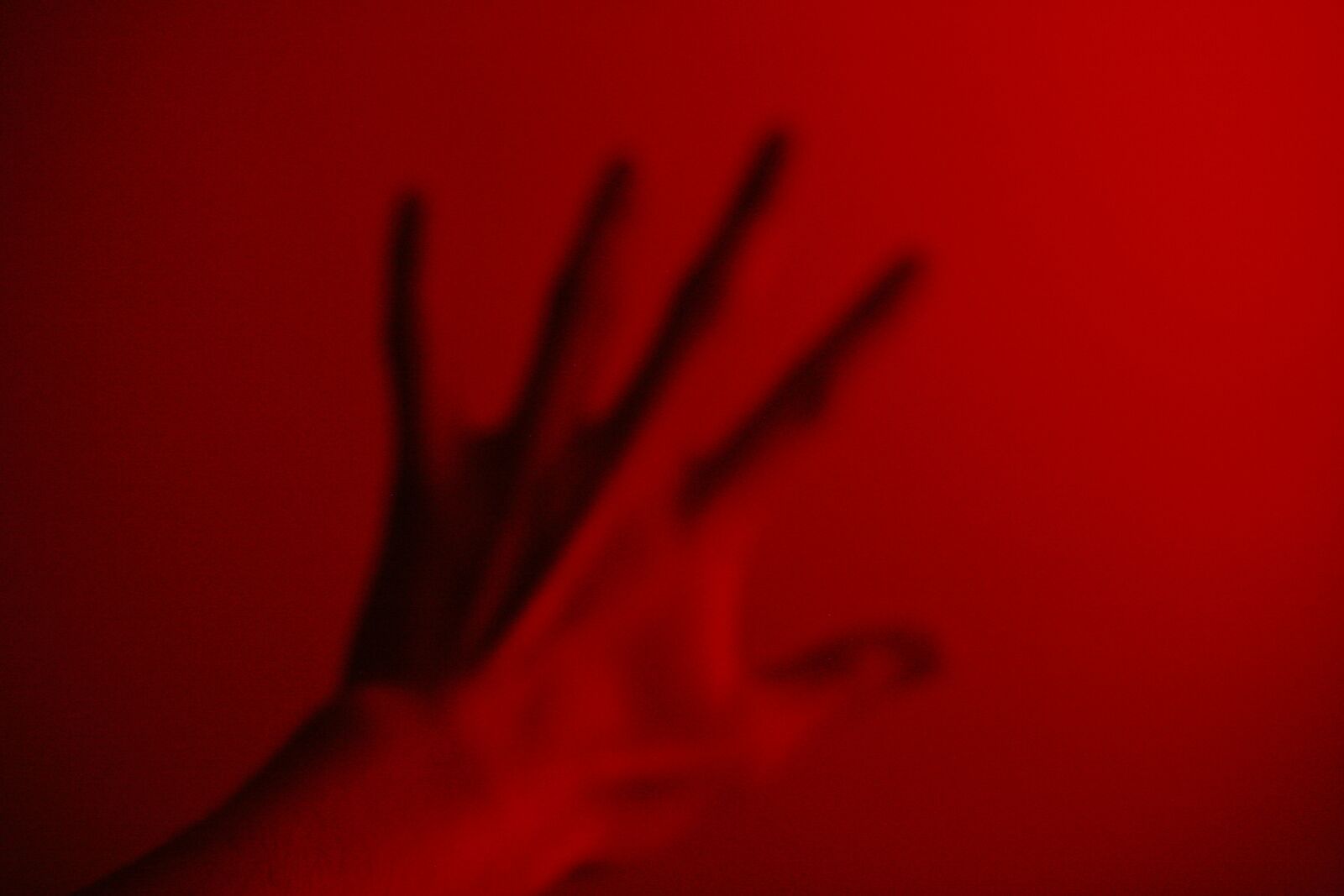 Canon EOS 5D sample photo. Hand, red, love photography