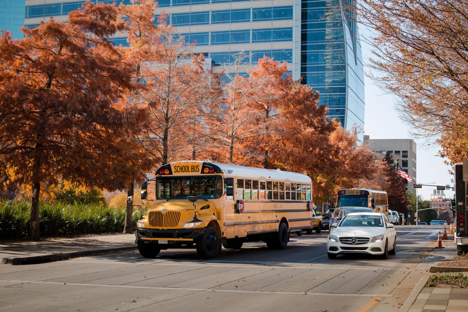 Canon EOS 70D sample photo. School bus, texas, transport photography