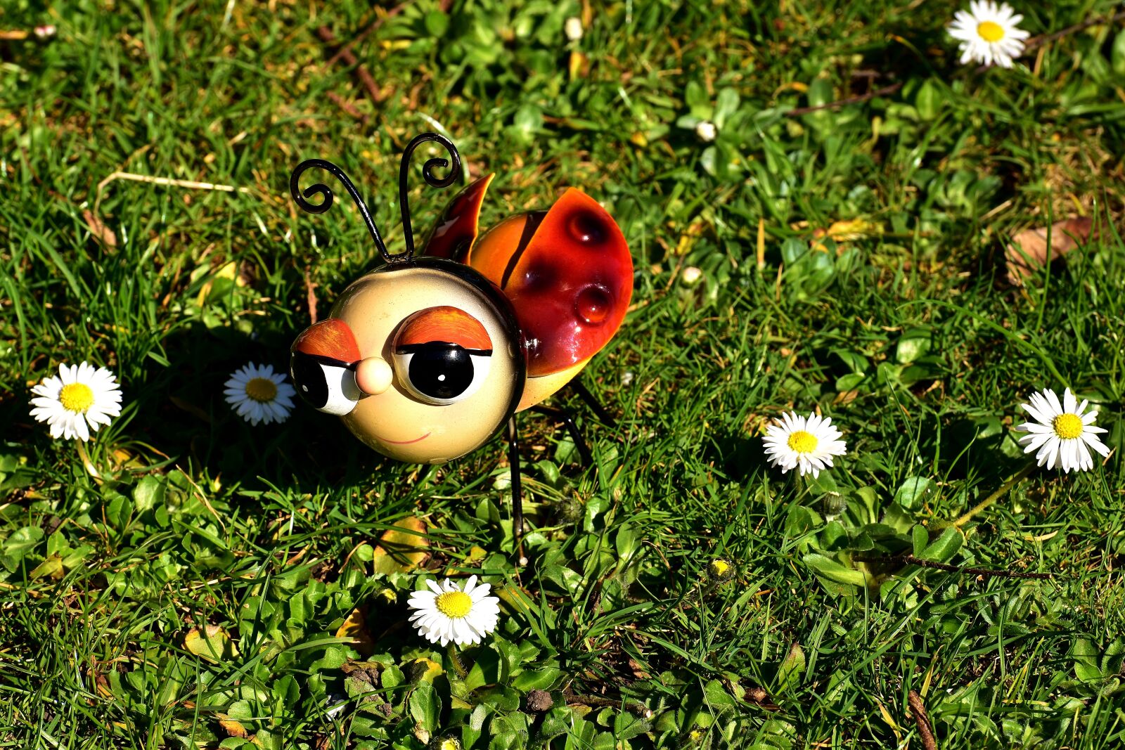 Nikon D7200 sample photo. Ladybug, sheet, colorful photography