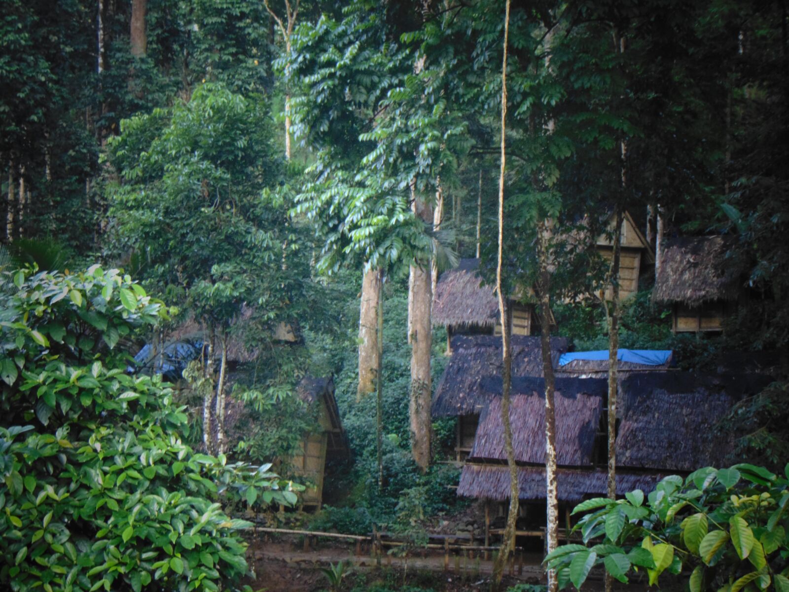 Sony Cyber-shot DSC-H300 sample photo. Village, indonesia, alam photography