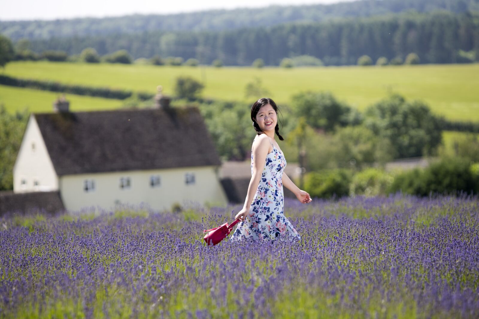 Canon EF 70-200mm F2.8L IS USM sample photo. Cotswold, lavender, united england photography