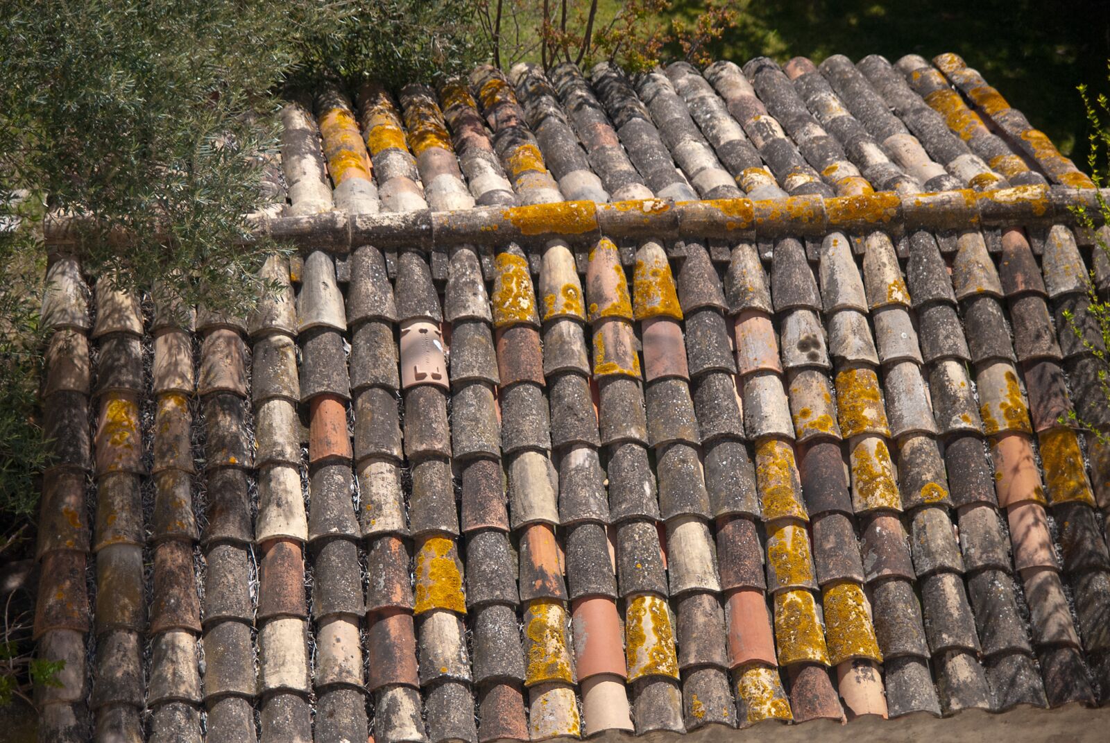 Nikon D200 sample photo. Roof, brick, pattern photography