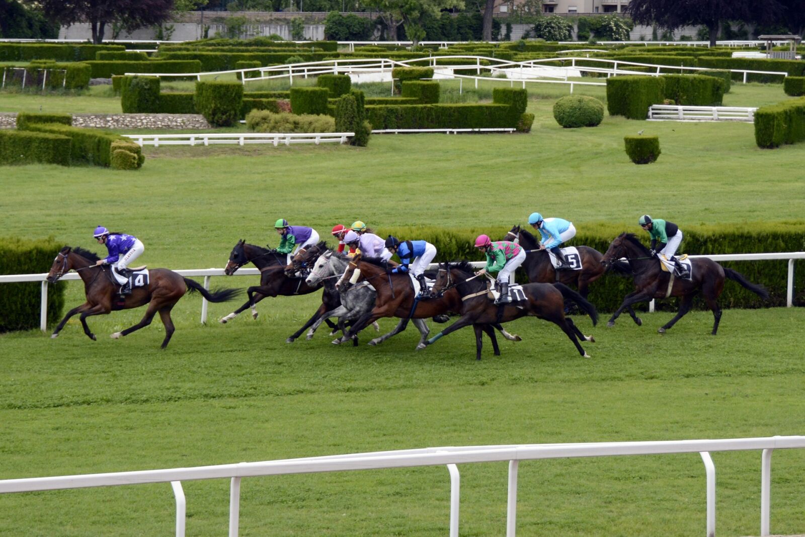 Nikon D7100 sample photo. Horse racing, racecourse, competition photography