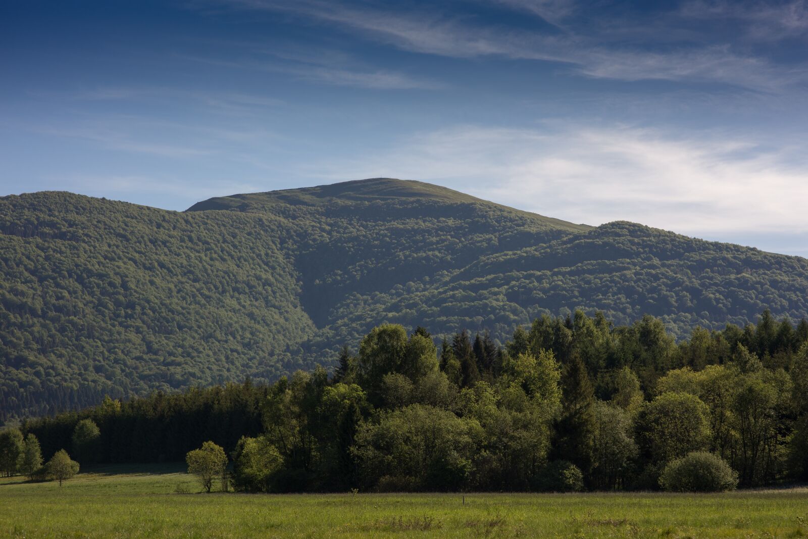 Canon EOS 6D sample photo. Bieszczady, smerek, nature photography