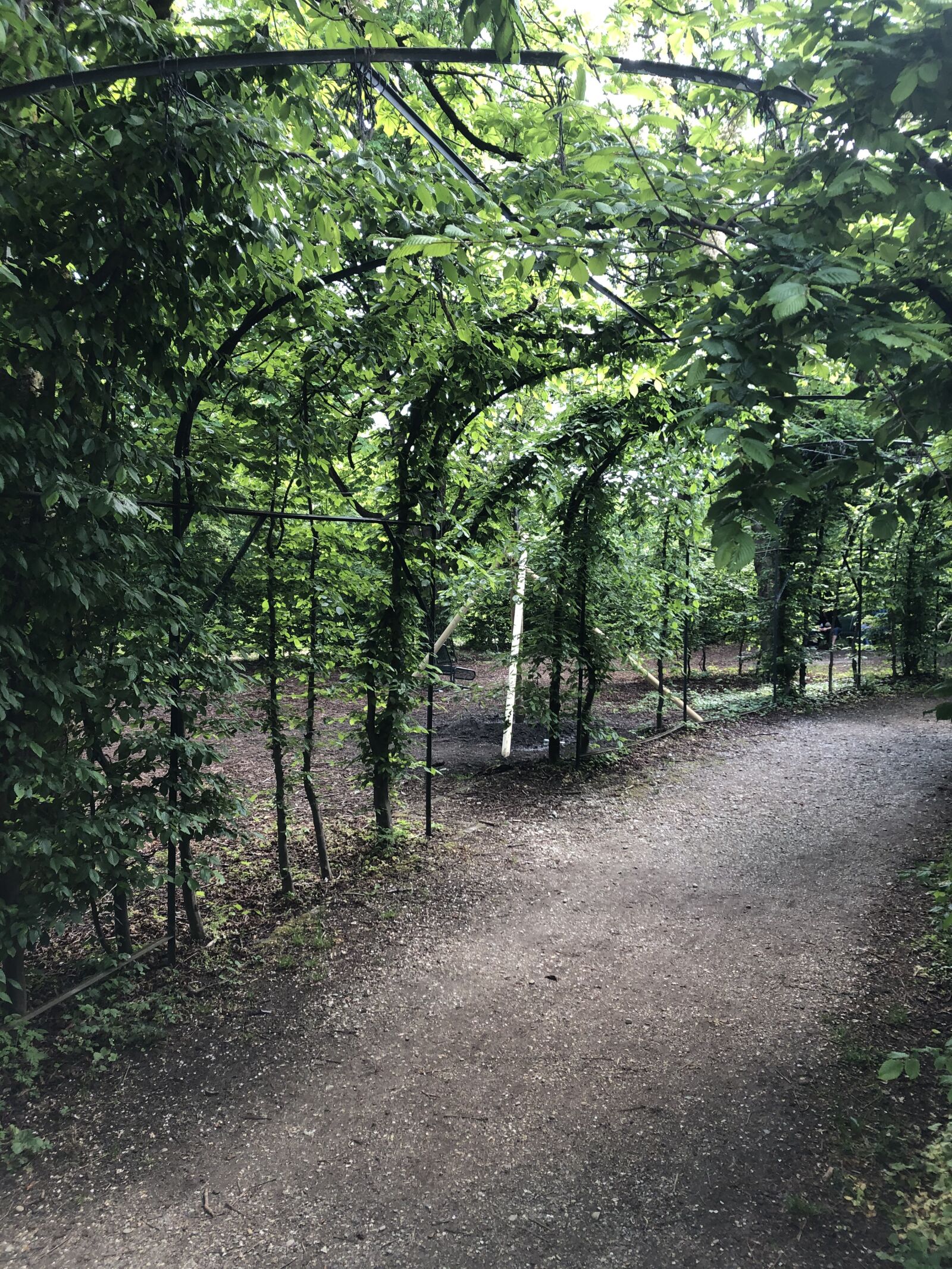 iPhone 8 back camera 3.99mm f/1.8 sample photo. Green, munich, westpark photography