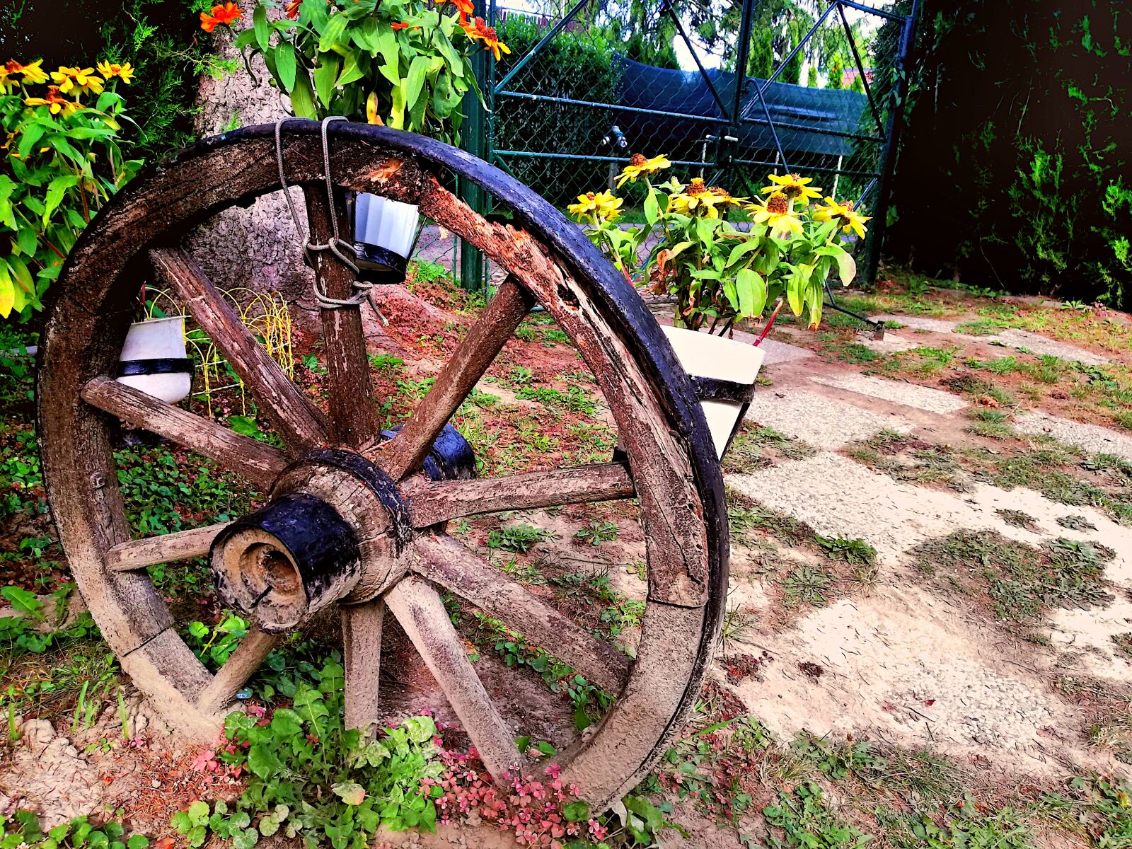 HUAWEI RNE-L21 sample photo. Garden, flowers, wooden wheel photography