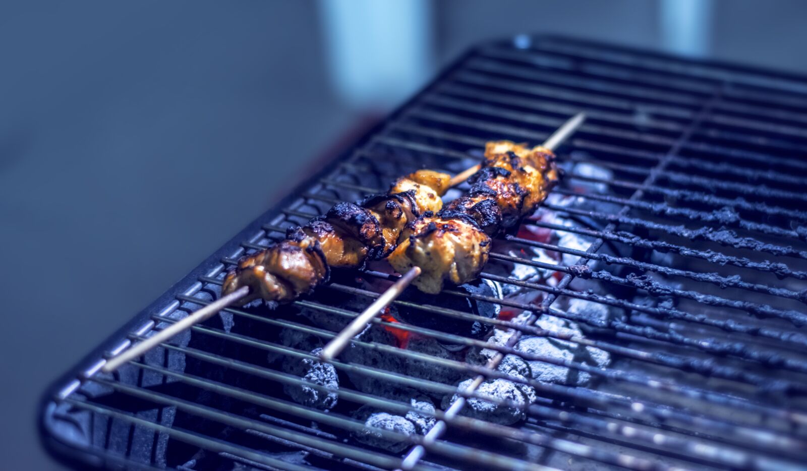 Nikon D3300 sample photo. Grilled, chicken, food photography