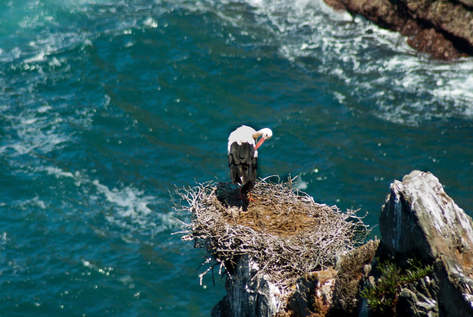 Tamron AF 70-300mm F4-5.6 Di LD Macro sample photo. Portugal, stork, nest photography