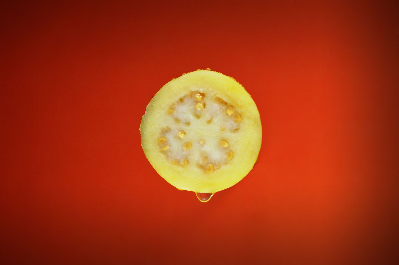 Nikon D3200 sample photo. Water, food, fresh photography