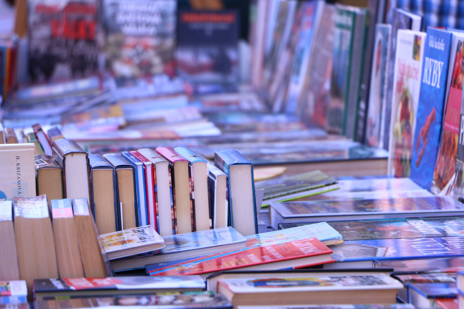 Canon EOS 760D (EOS Rebel T6s / EOS 8000D) sample photo. Book, bookcase, books photography