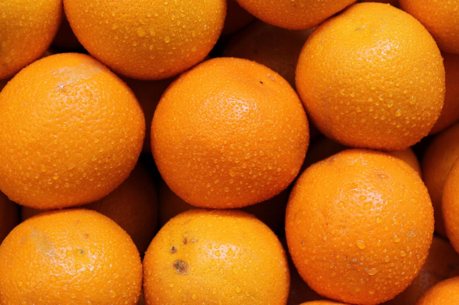 Canon EOS 500D (EOS Rebel T1i / EOS Kiss X3) sample photo. Oranges, fresh, healthy photography