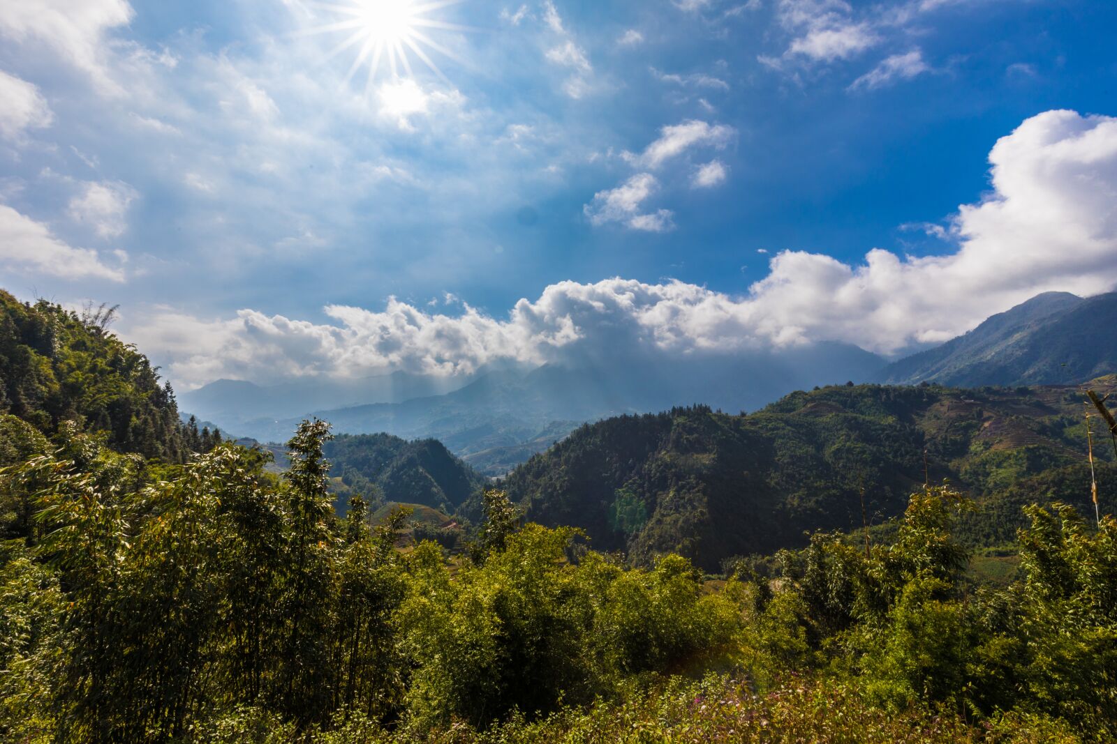 Canon EF 16-35mm F4L IS USM sample photo. Nature, landscape, tree photography