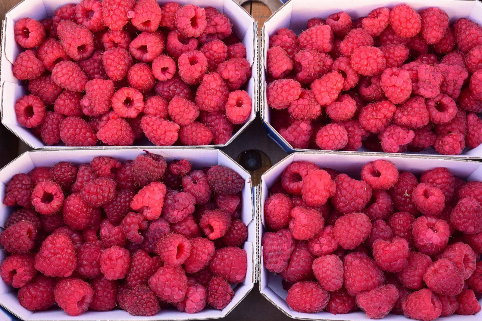 Nikon D3300 sample photo. Fruit, berry, raspberry, diet photography