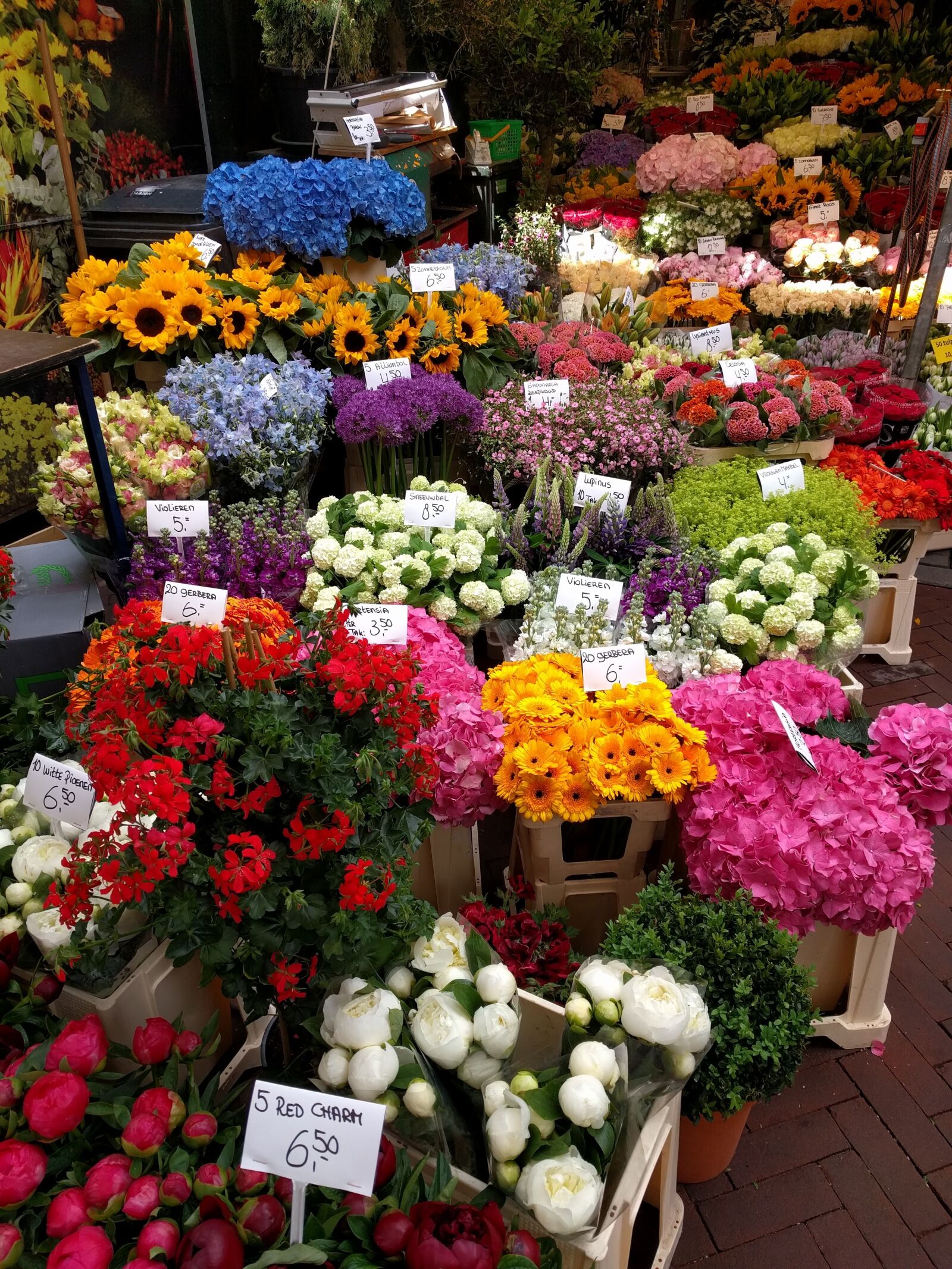 LG Nexus 5X sample photo. Flowers, market, blossom photography