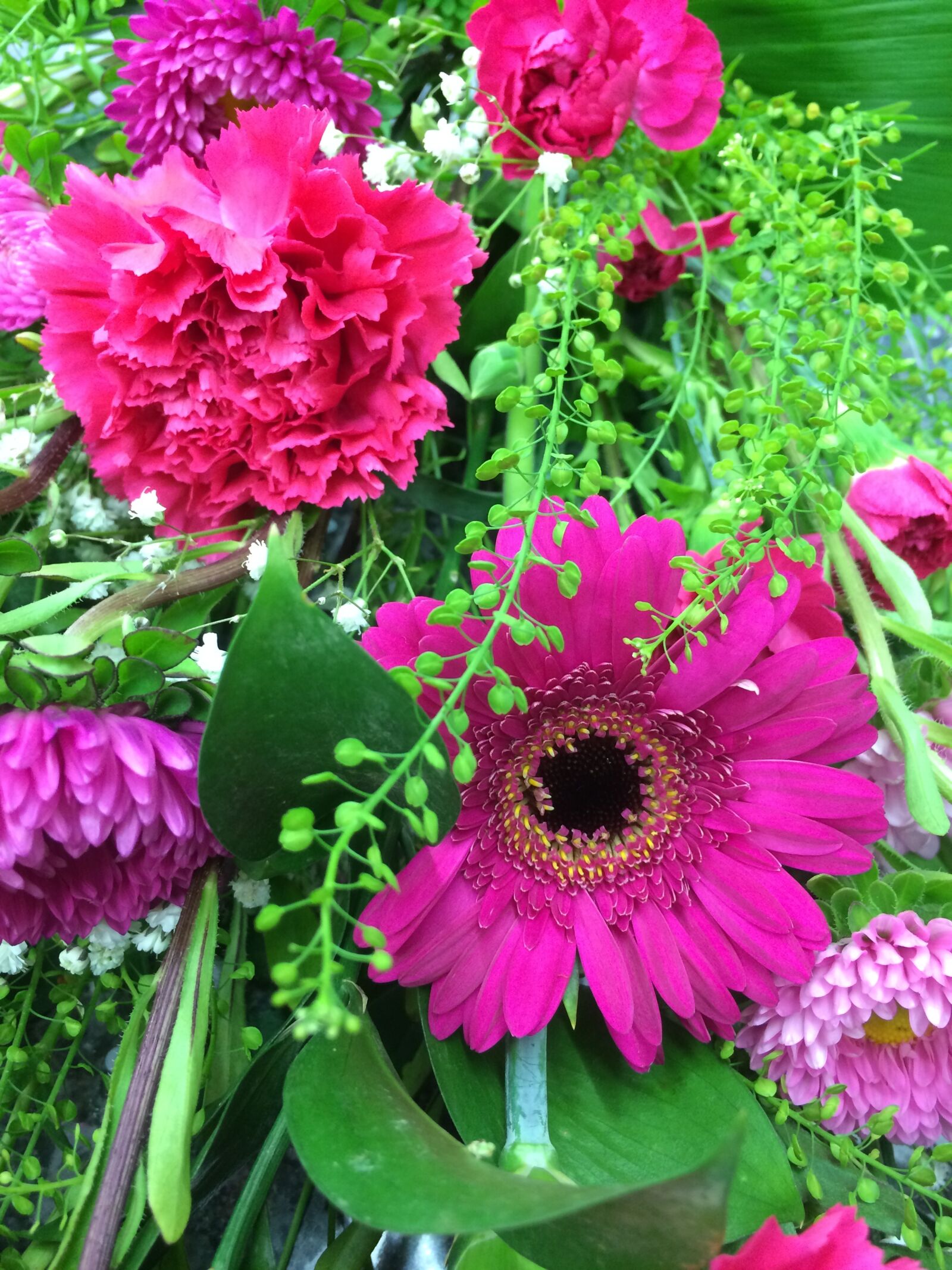 iPhone 5s back camera 4.15mm f/2.2 sample photo. Flowers, gerbera, daisy photography
