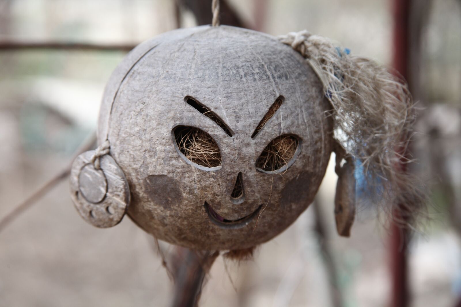Canon EOS 5D Mark II sample photo. Ornament, day of the photography