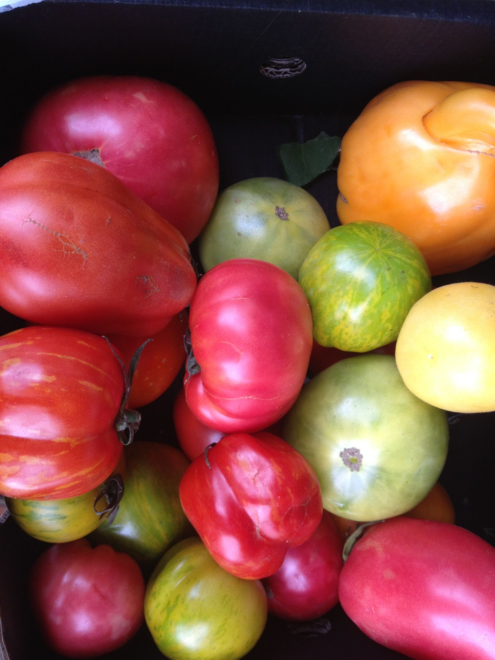 Apple iPhone 4S sample photo
