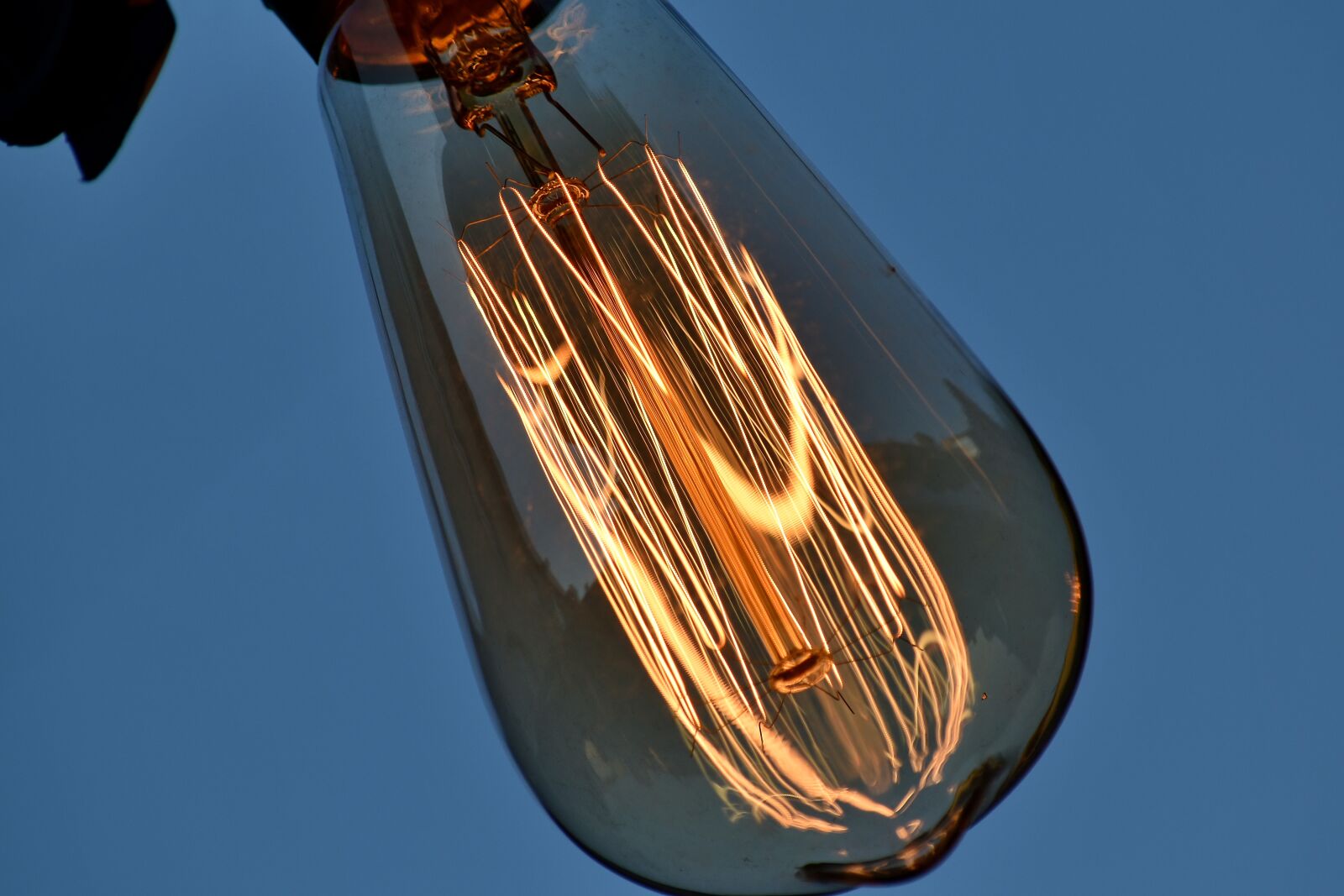 Nikon D5500 sample photo. Light, light bulb, wires photography