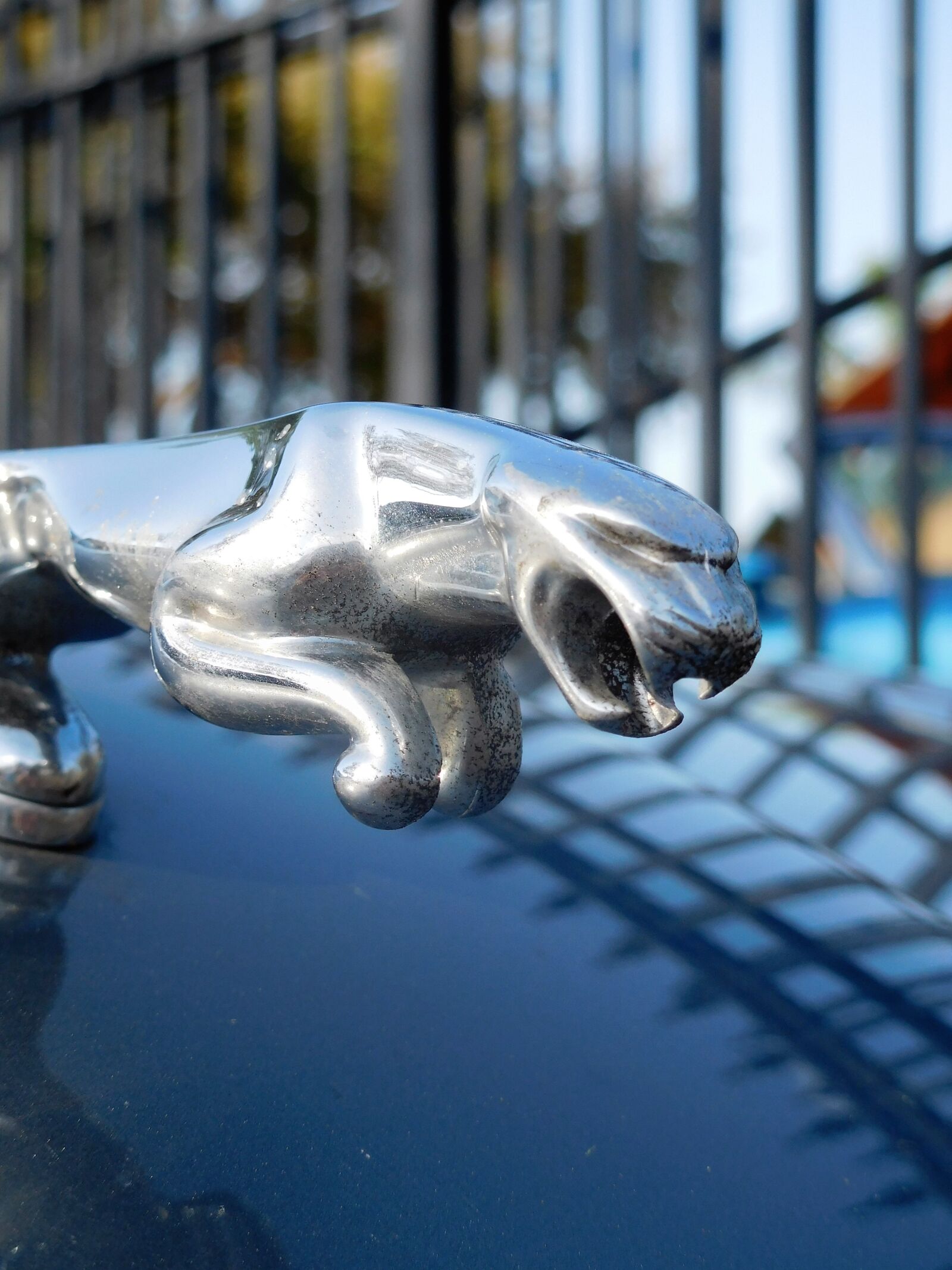 Nikon Coolpix S7000 sample photo. Symbol, car brand, jaguar photography