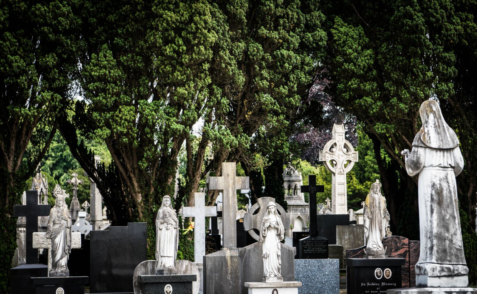 Sony a6500 + Sony Vario-Tessar T* E 16-70mm F4 ZA OSS sample photo. Glasnevin, dublin, ireland photography