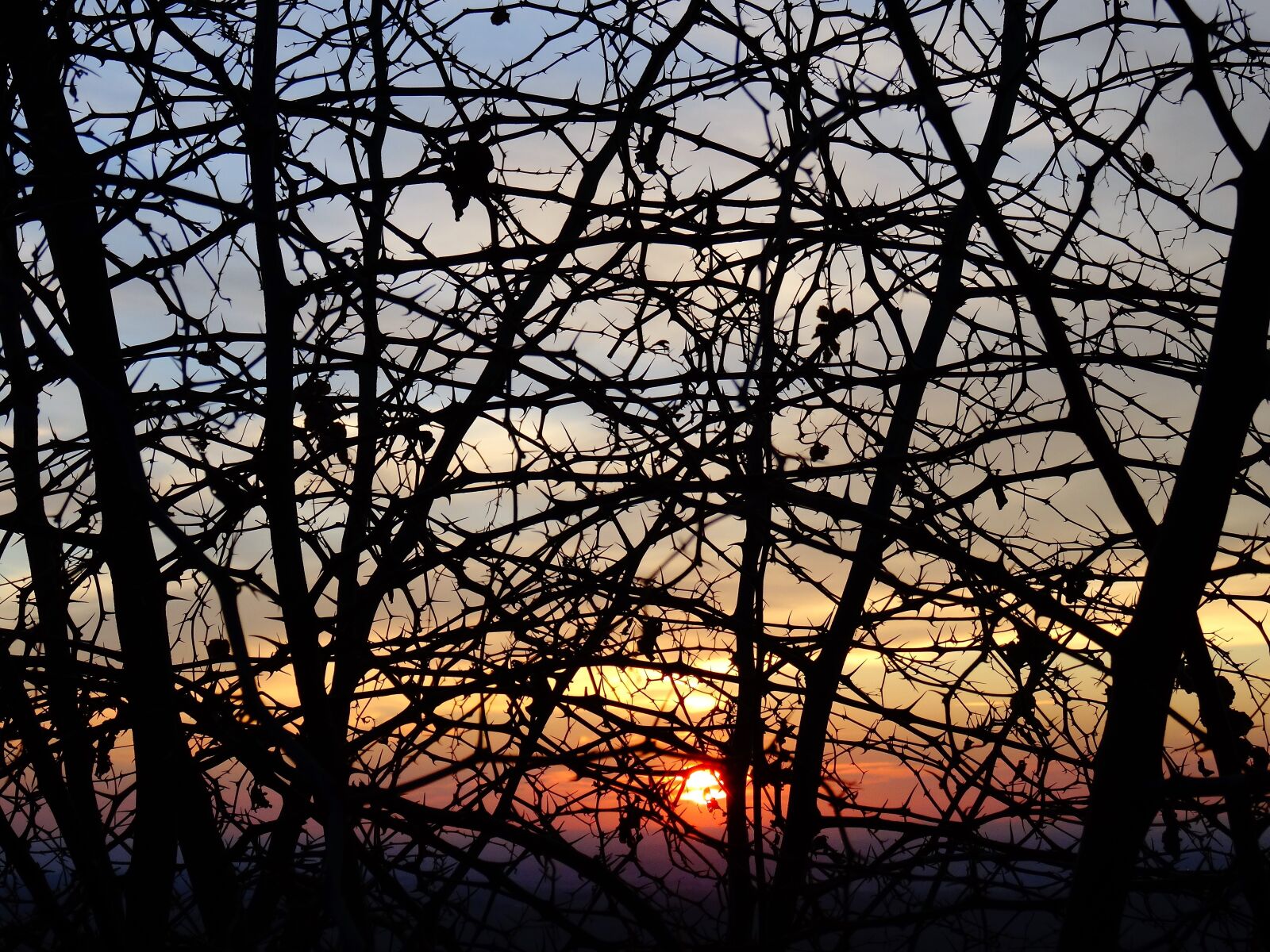 Sony DSC-HX50 sample photo. Rovi, sunset, season photography
