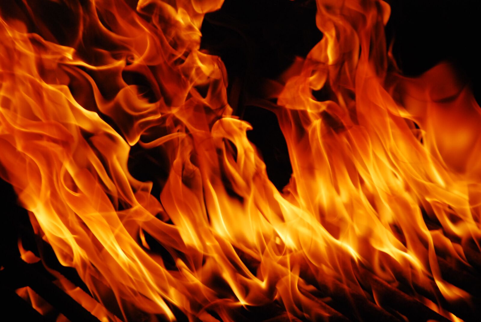 Nikon D80 sample photo. Fire, earth, life photography