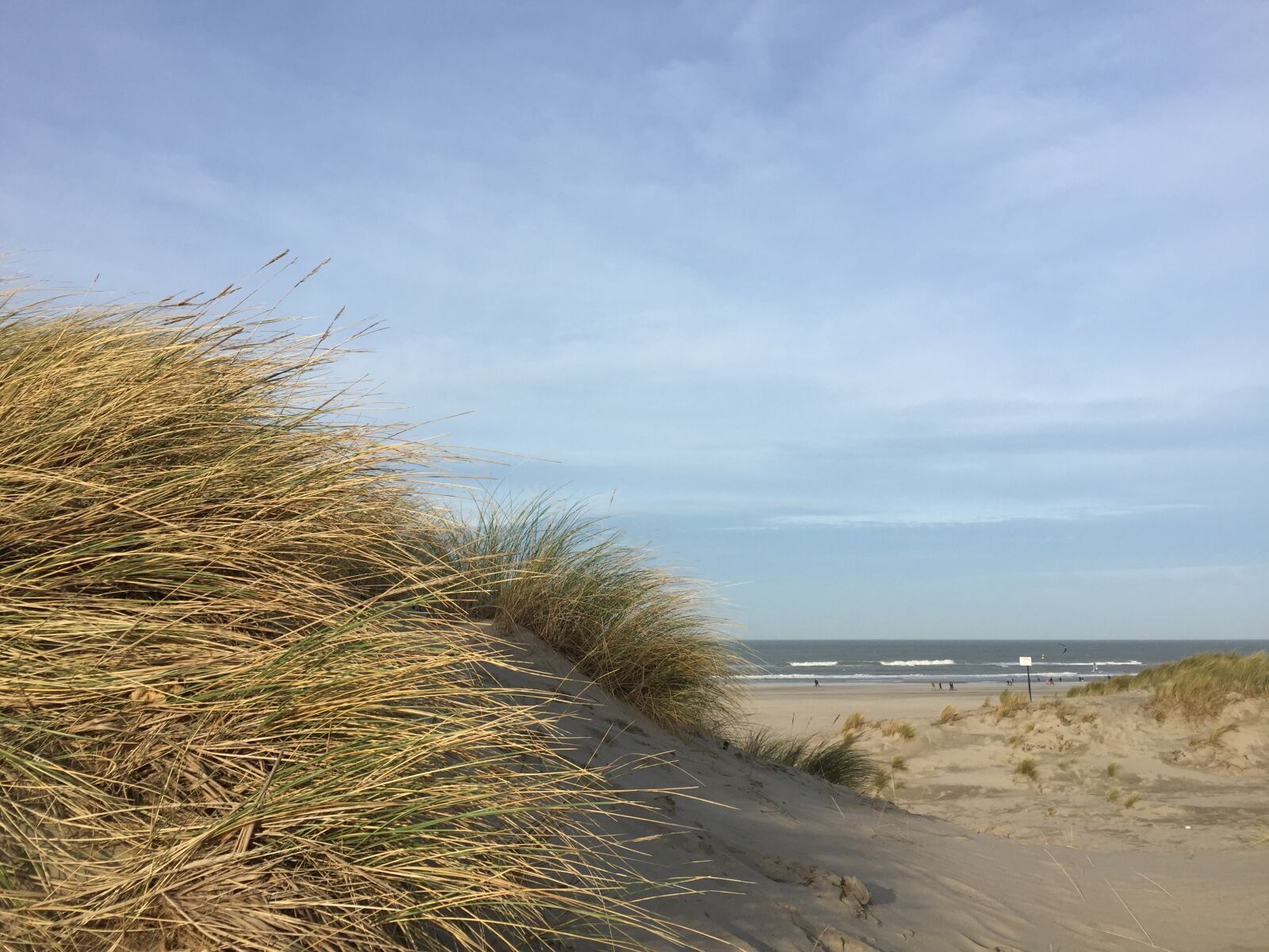 iPhone 6 Plus back camera 4.15mm f/2.2 sample photo. Netherlands, beach, dunes photography