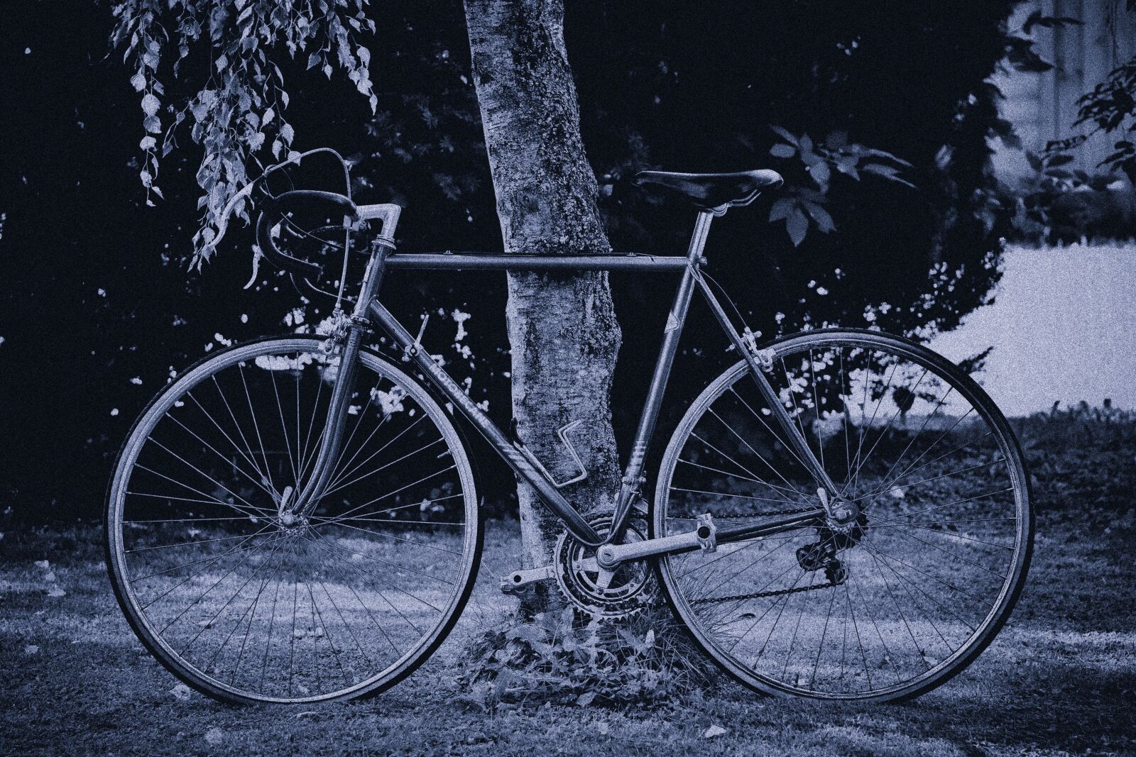 Nikon D7200 sample photo. Bicycles, cycle, bike photography