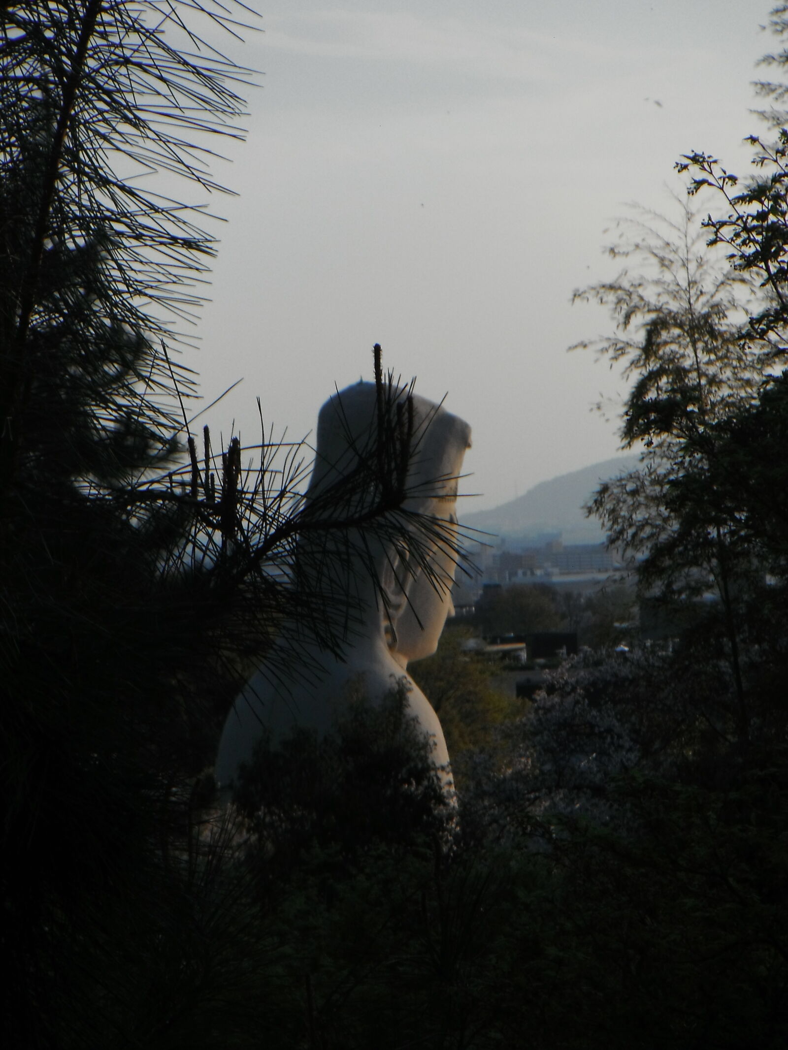FujiFilm Finepix Z90 (Finepix Z91) sample photo