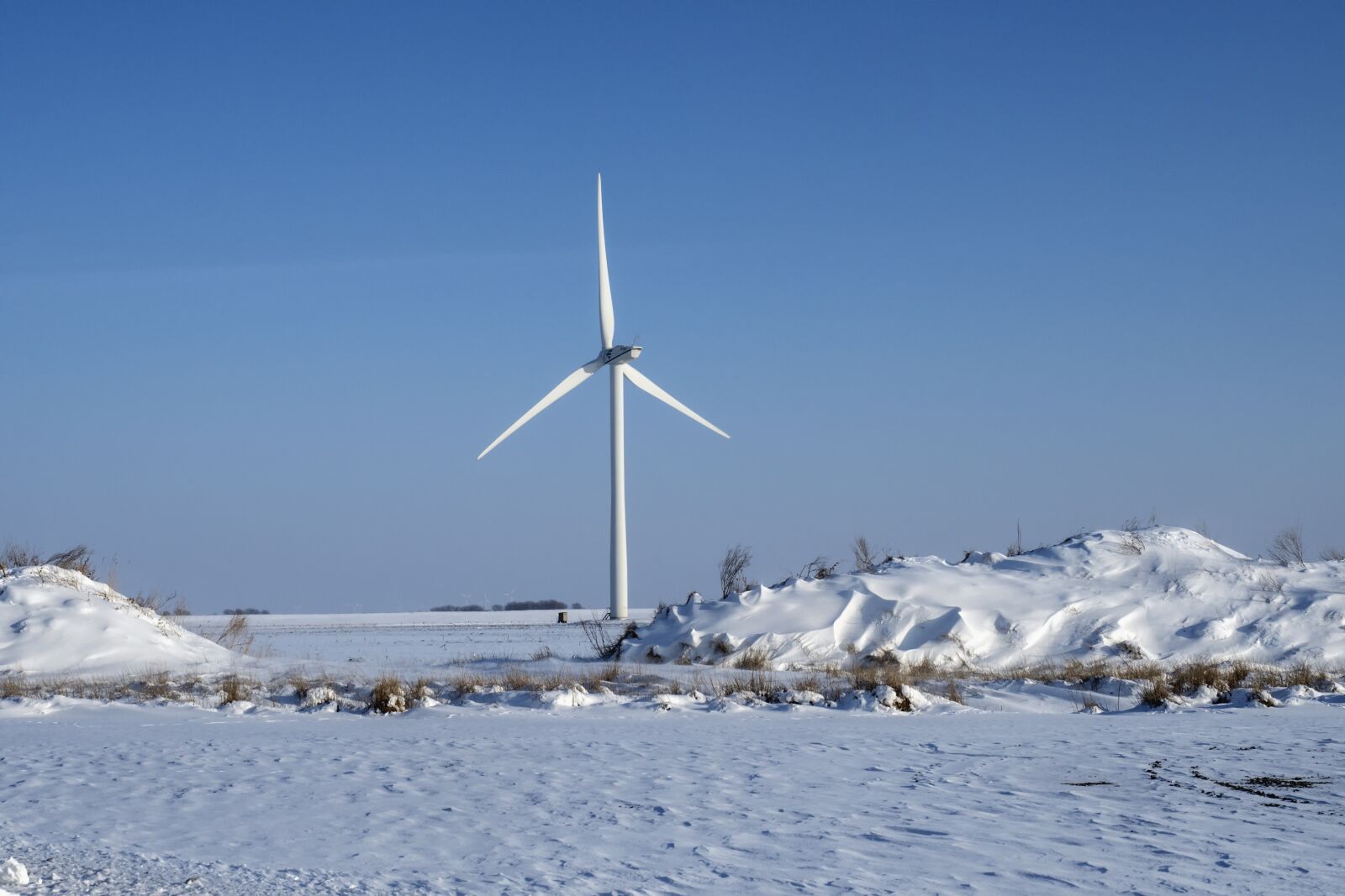 Olympus OM-D E-M5 II + Olympus M.Zuiko Digital ED 12-40mm F2.8 Pro sample photo. Windmill, wind power, wind photography