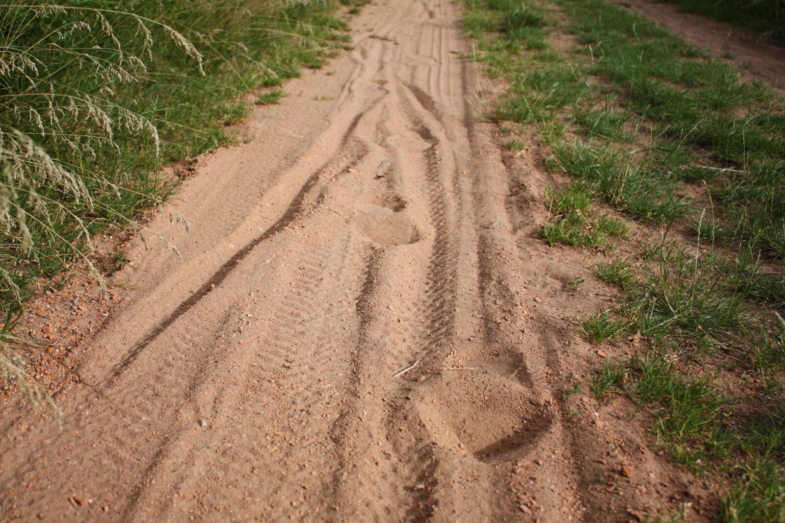 Canon EOS 450D (EOS Rebel XSi / EOS Kiss X2) sample photo. Spuren, sand, weg photography
