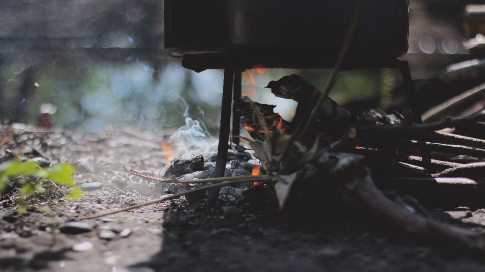 Canon EF 50mm F1.8 II sample photo. Fire, wood, camping photography