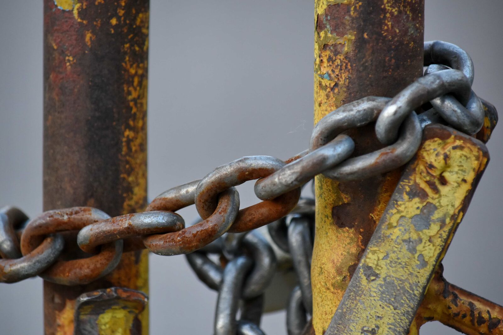 Nikon D5500 sample photo. Cast iron, fence, iron photography
