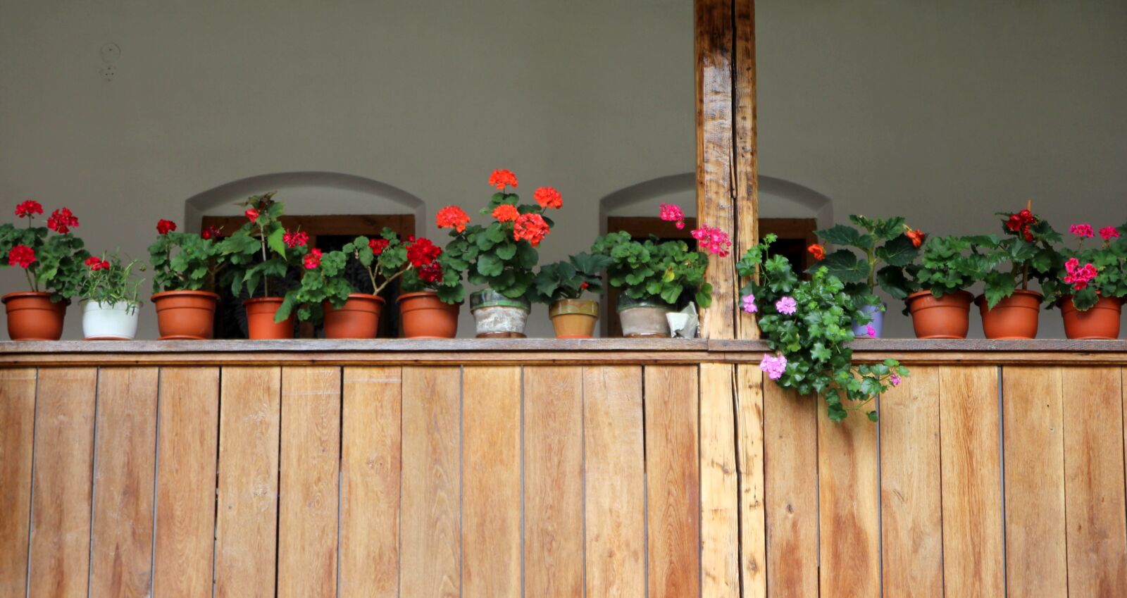 Canon EOS 700D (EOS Rebel T5i / EOS Kiss X7i) sample photo. Flowers, pots, window photography