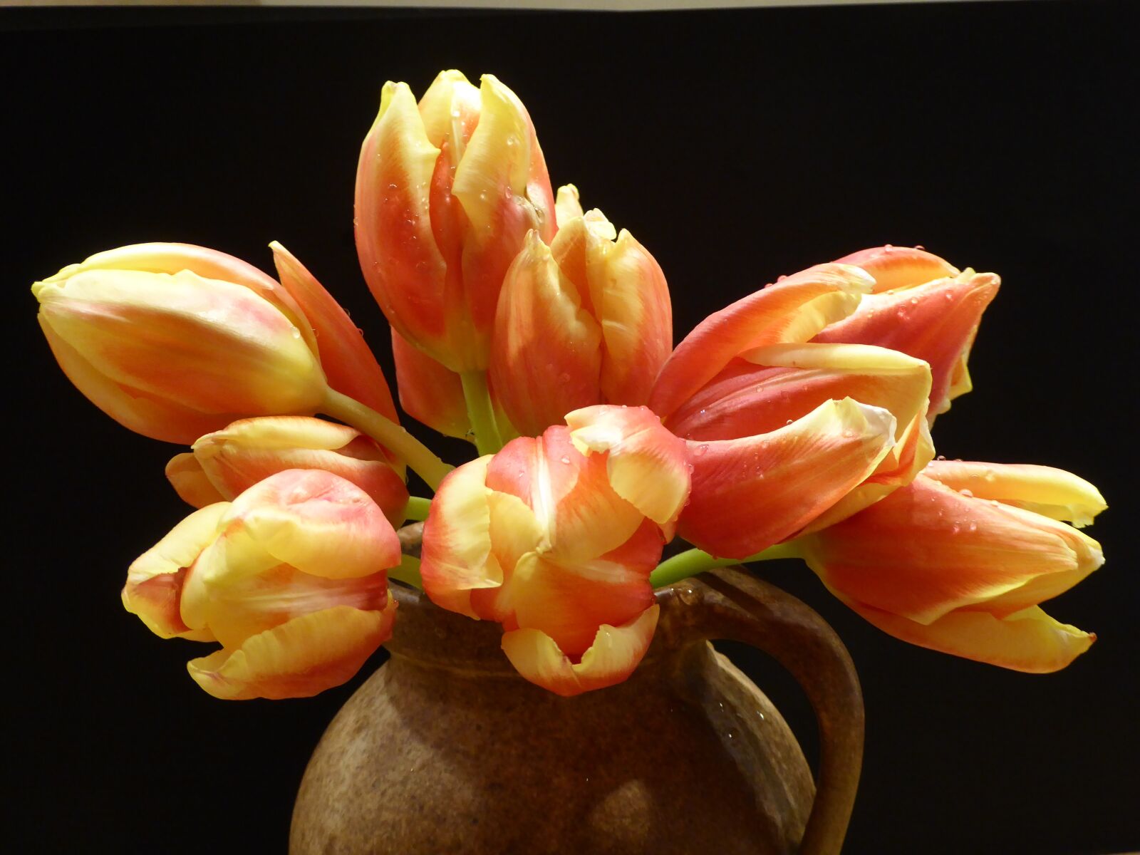 Panasonic DMC-TZ61 sample photo. Spring, tulip bouquet, cut photography