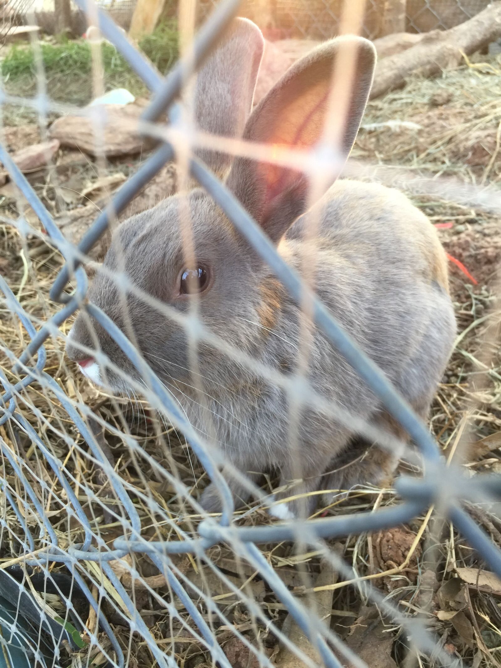 iPhone 6 Plus back camera 4.15mm f/2.2 sample photo. High, angle, view, of photography