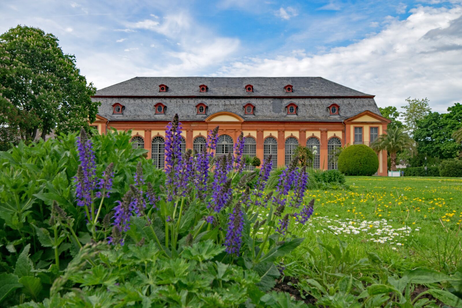 Nikon D5300 sample photo. Orangery, architecture, spring photography