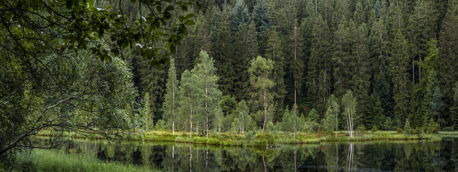 Canon EOS 5D + Canon EF 70-200mm F2.8L IS USM sample photo. Buhlbachsee, panorama, schwarzwald photography