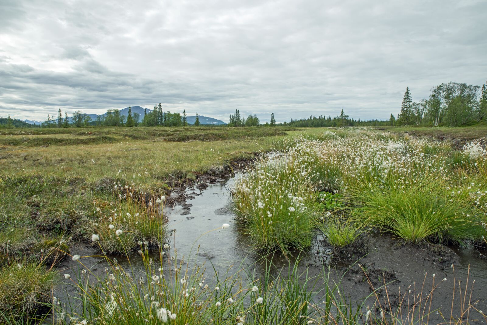 Pentax K-1 sample photo. Sweden, fjäll, landscape photography