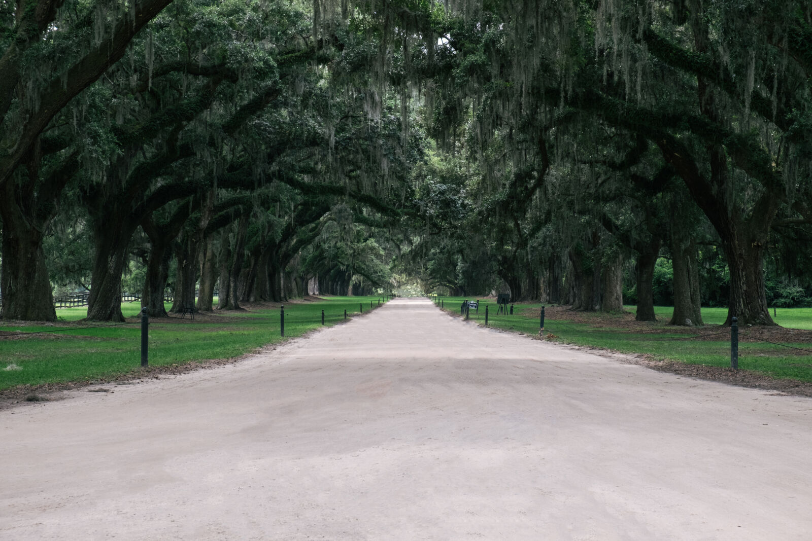 Fujifilm X-T10 sample photo. Charleston, long, path, road photography